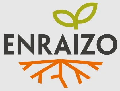 ENRAIZO