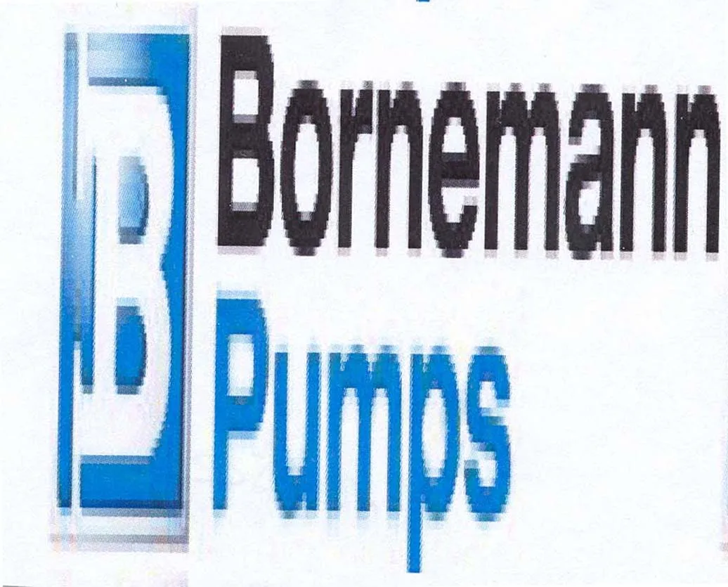 B BORNEMANN PUMPS