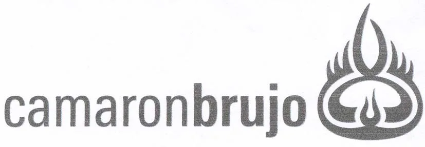 CAMARON BRUJO
