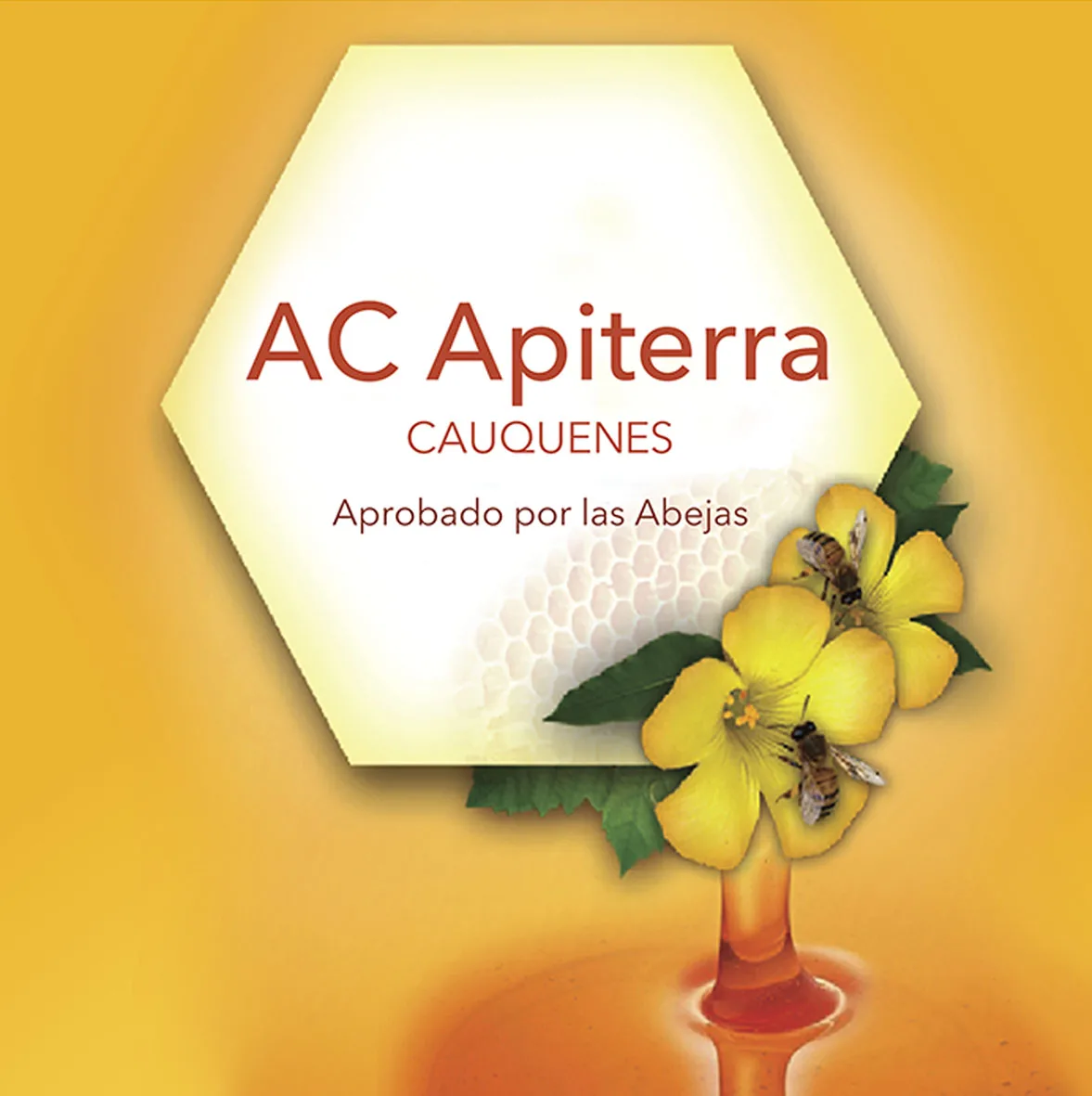 AC APITERRA CAUQUENES APROBADO POR LAS ABEJAS