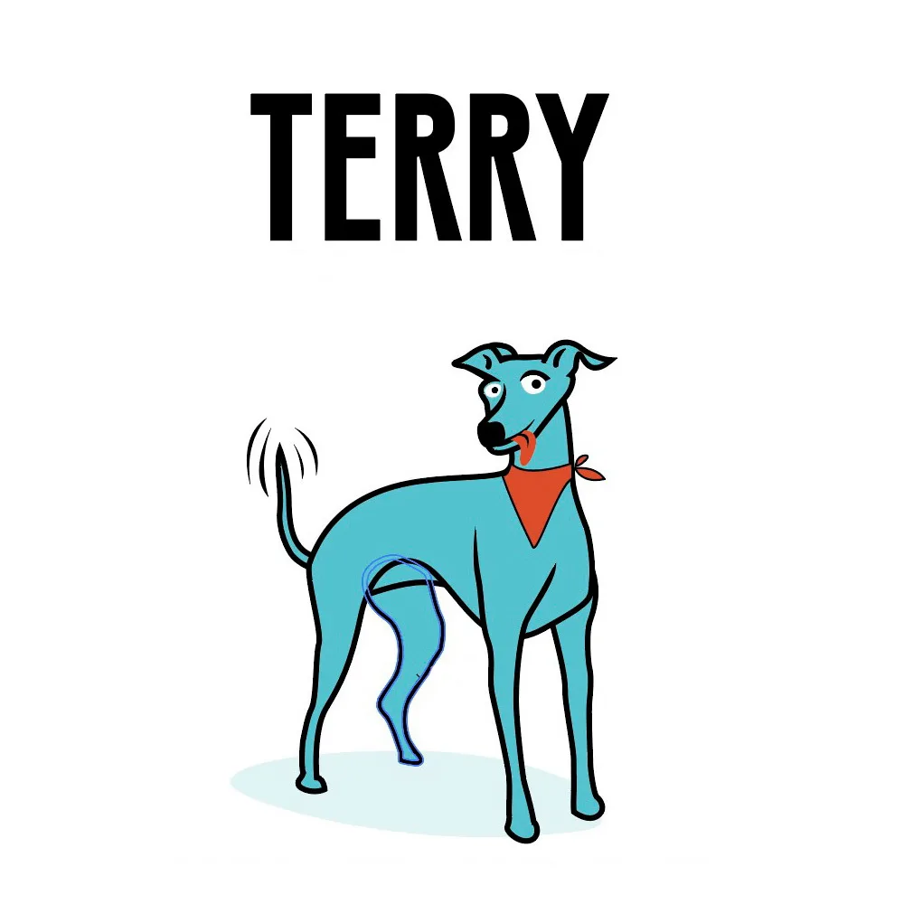 TERRY