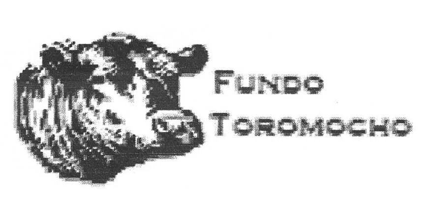 FUNDO TOROMOCHO