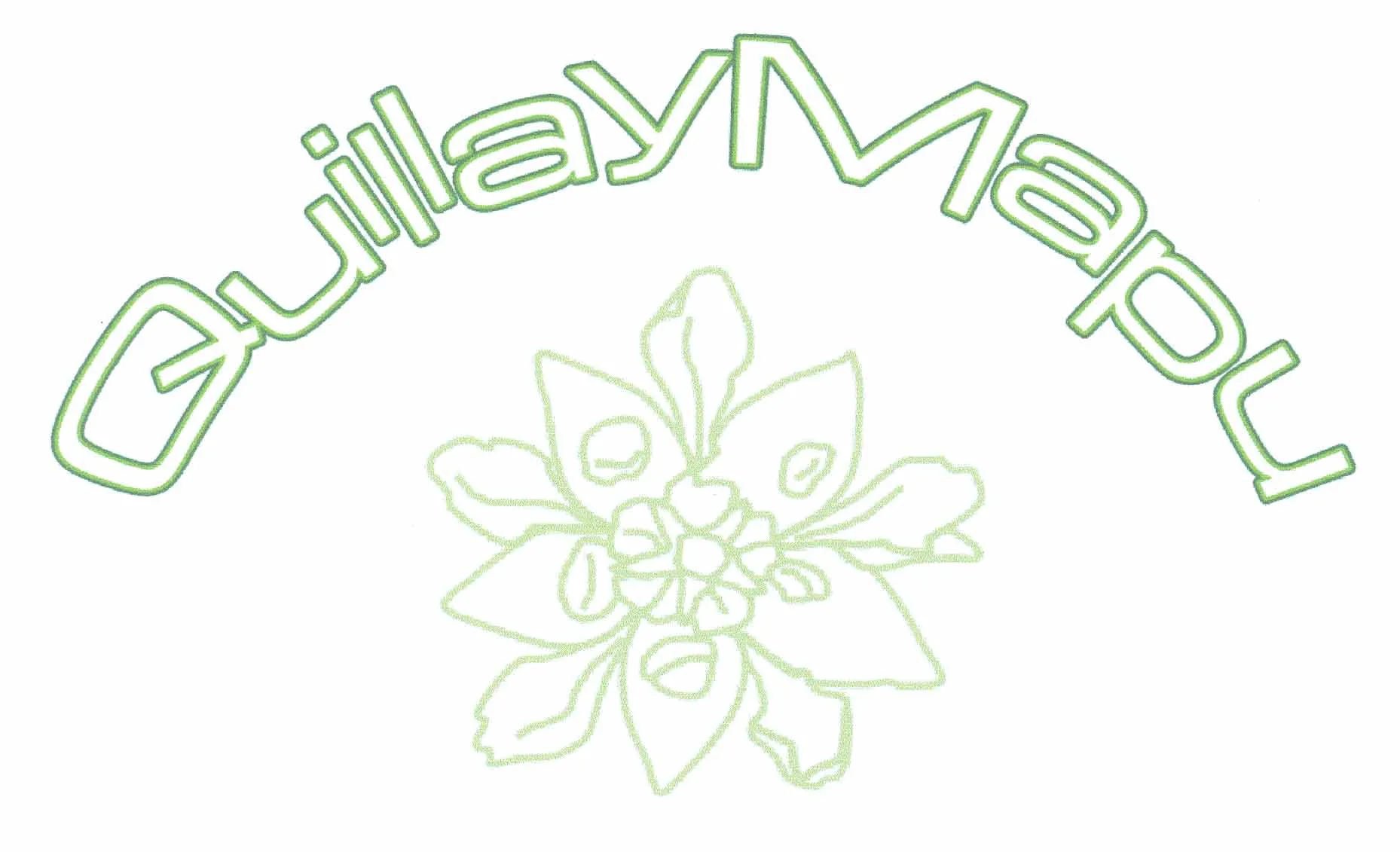 QUILLAYMAPU
