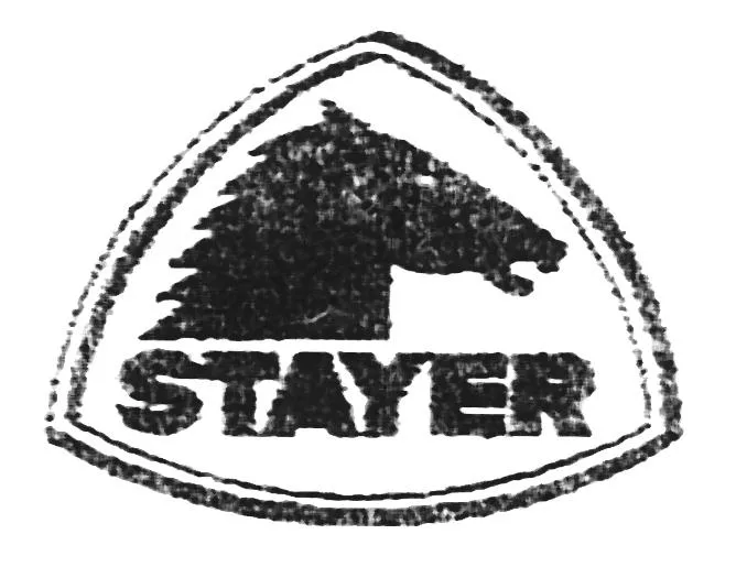 STAYER