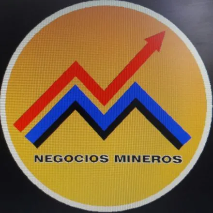 NM NEGOCIOS MINEROS
