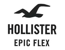 HOLLISTER EPIC FLEX