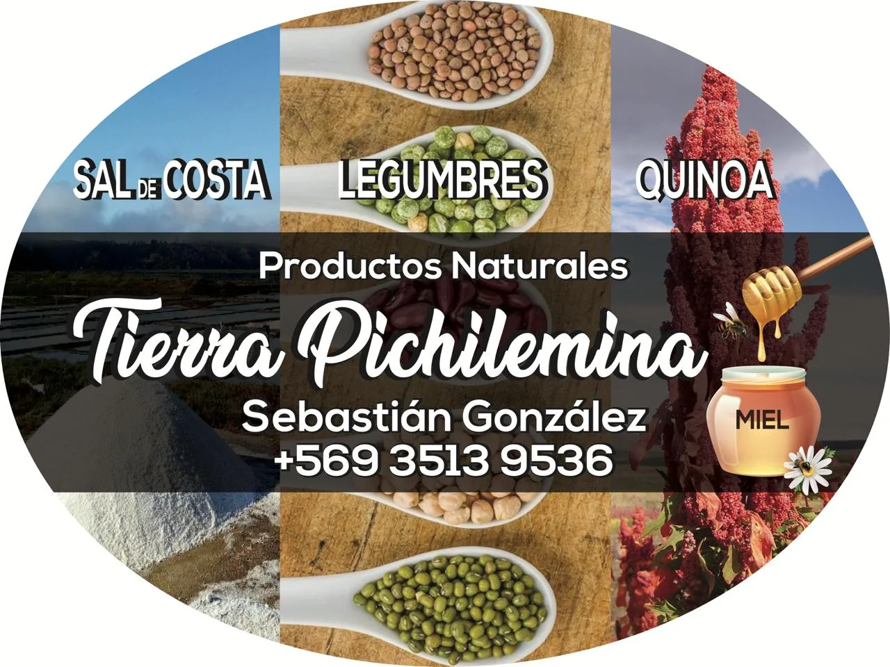 TIERRA PICHILEMINA