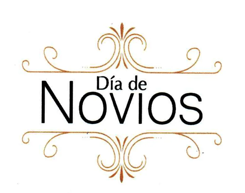 DÍA DE NOVIOS