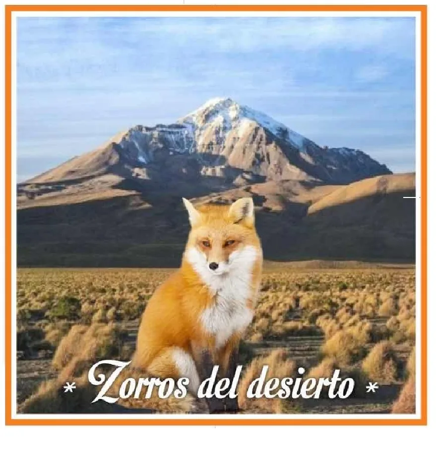 Zorros del Desierto