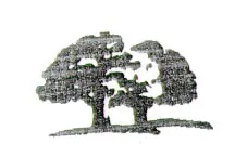 Acta 1036527