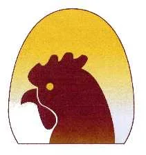 Acta 1248527