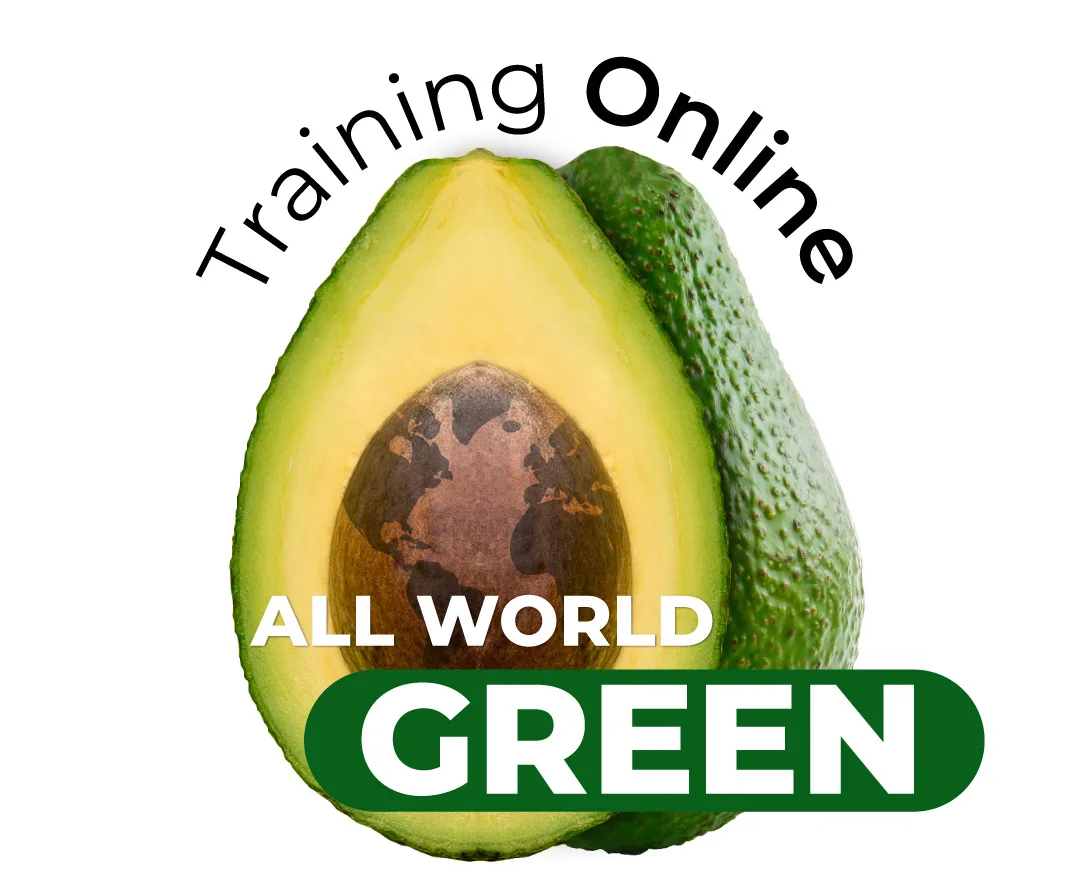 Training Online All World Green