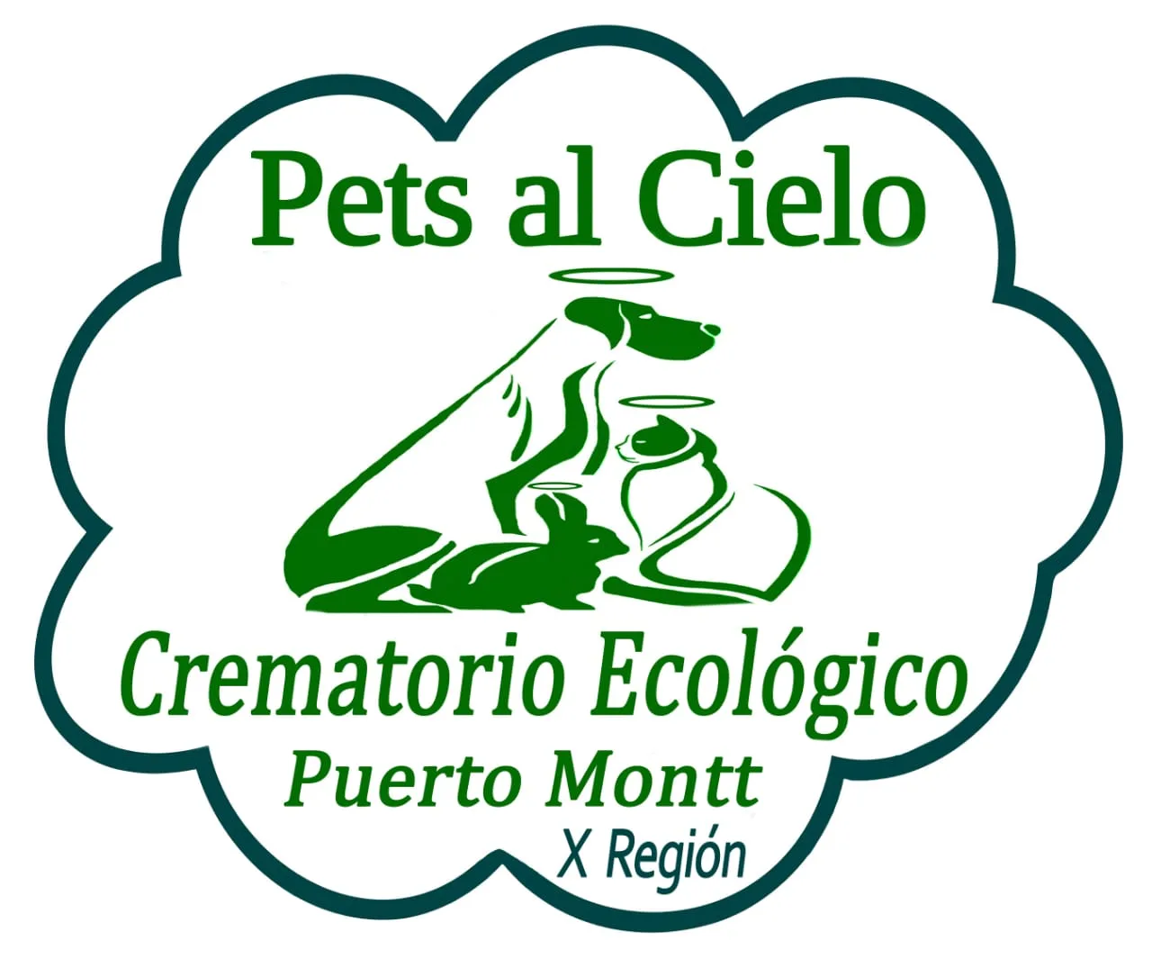 Pets al Cielo