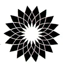 Acta 916527