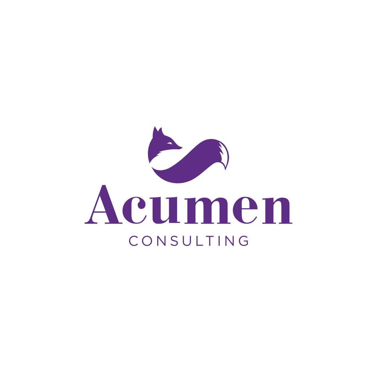 ACUMEN CONSULTING