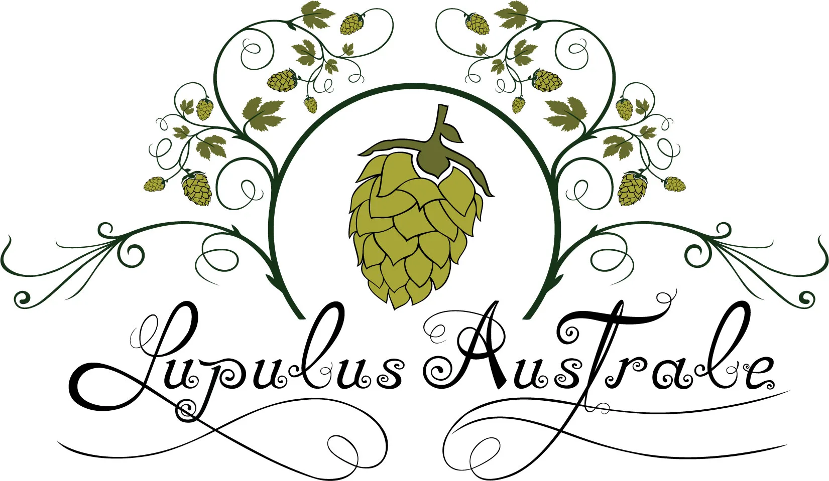 LUPULUS AUSTRALE