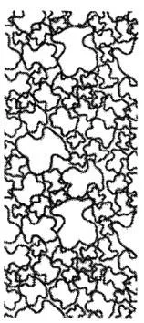 Acta 1122529