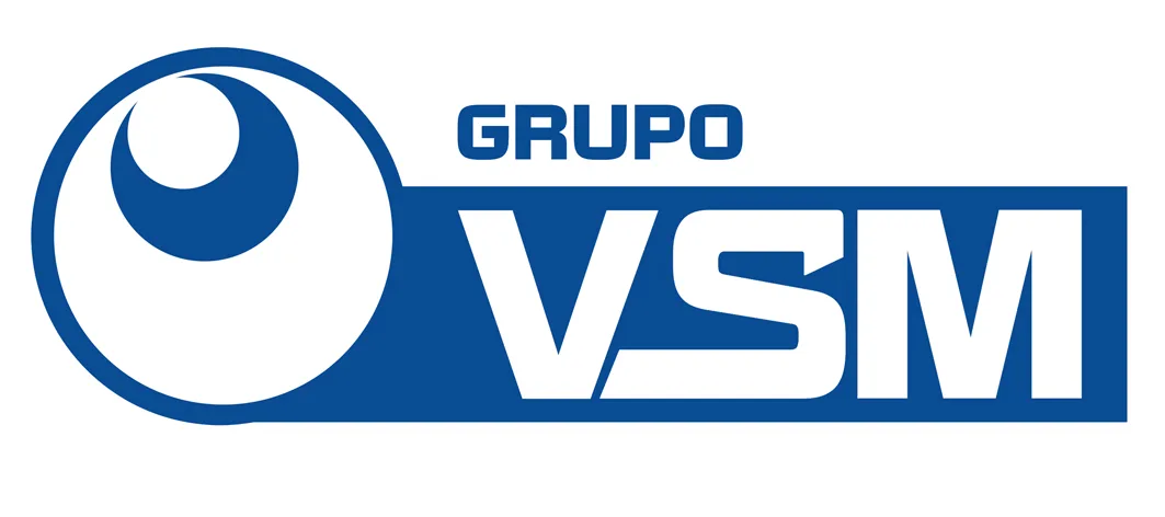 GRUPO VSM