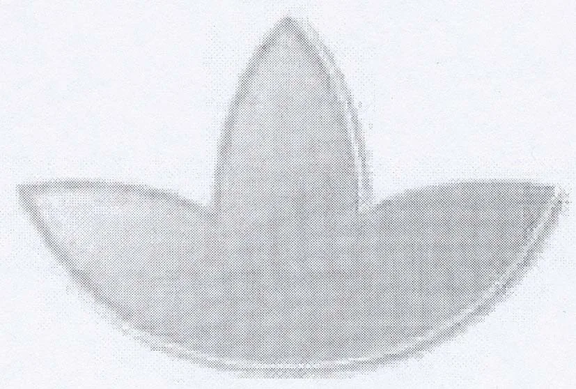 Acta 1139535