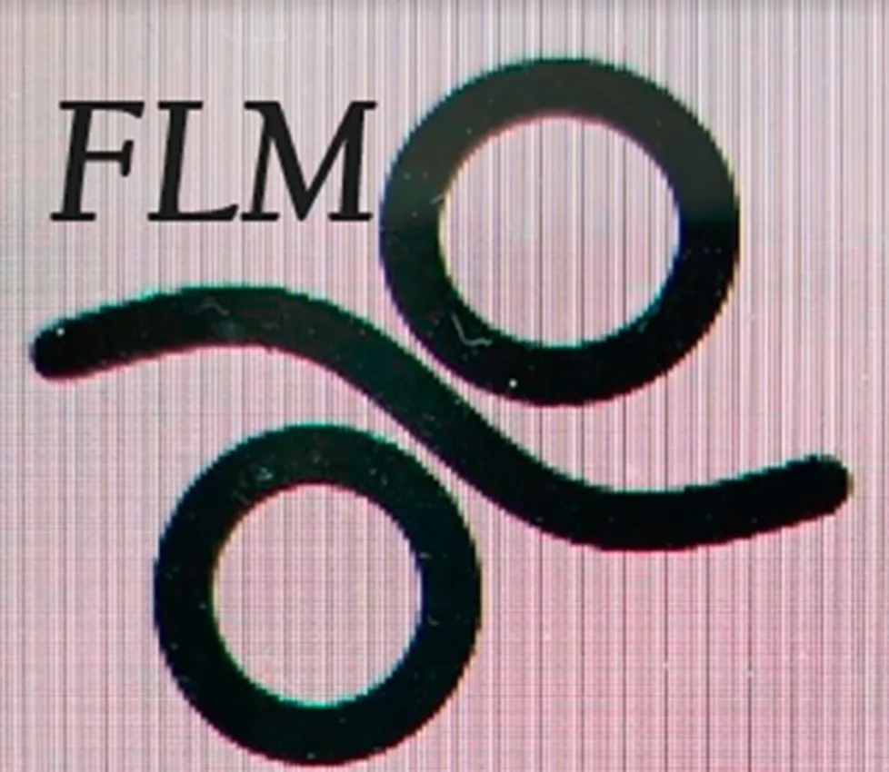 FLM