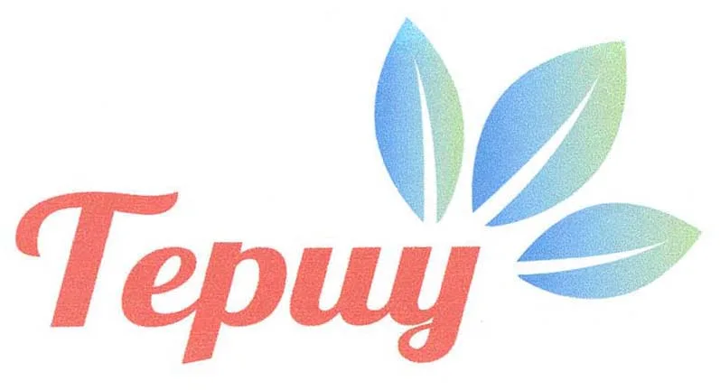 TEPUY