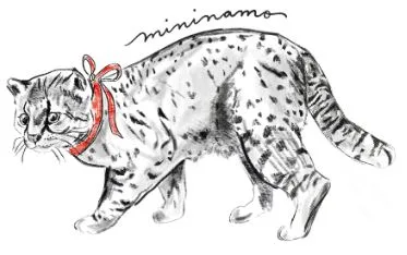 mininamo