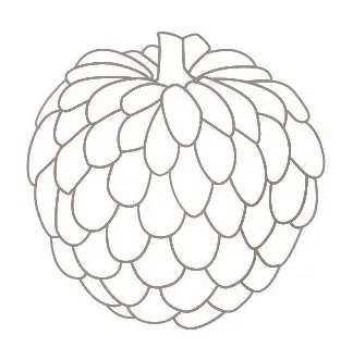 Acta 1497536