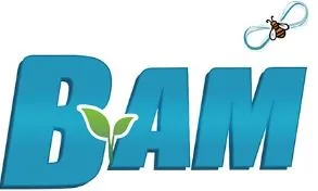 BAM