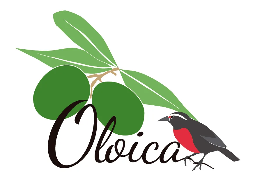 Oloica