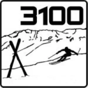 3100
