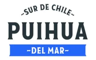 SUR DE CHILE PUIHUA DEL MAR
