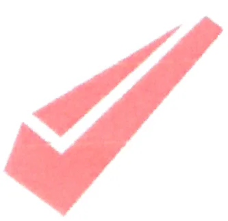 Acta 825538