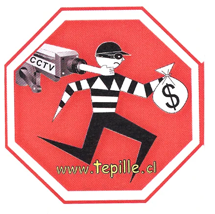 WWW.TEPILLE.CL