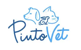 PINTOVET