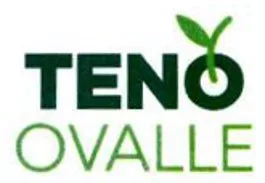 TENO OVALLE