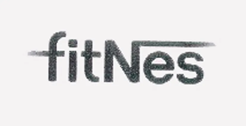 FITNES