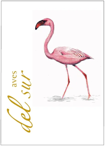 AVES DEL SUR