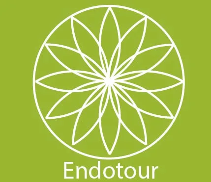 Endotur