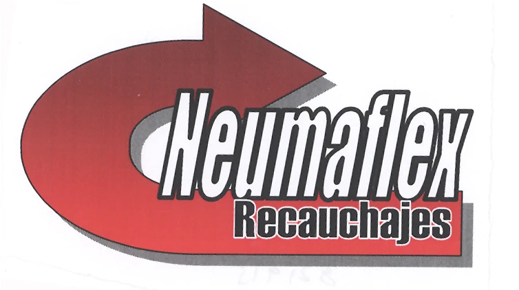 NEUMAFLEX RECAUCHAJES