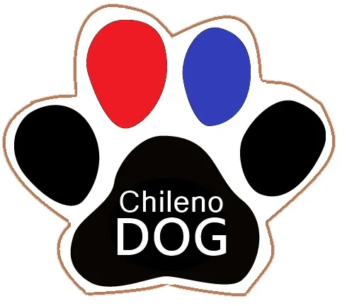Chileno dog
