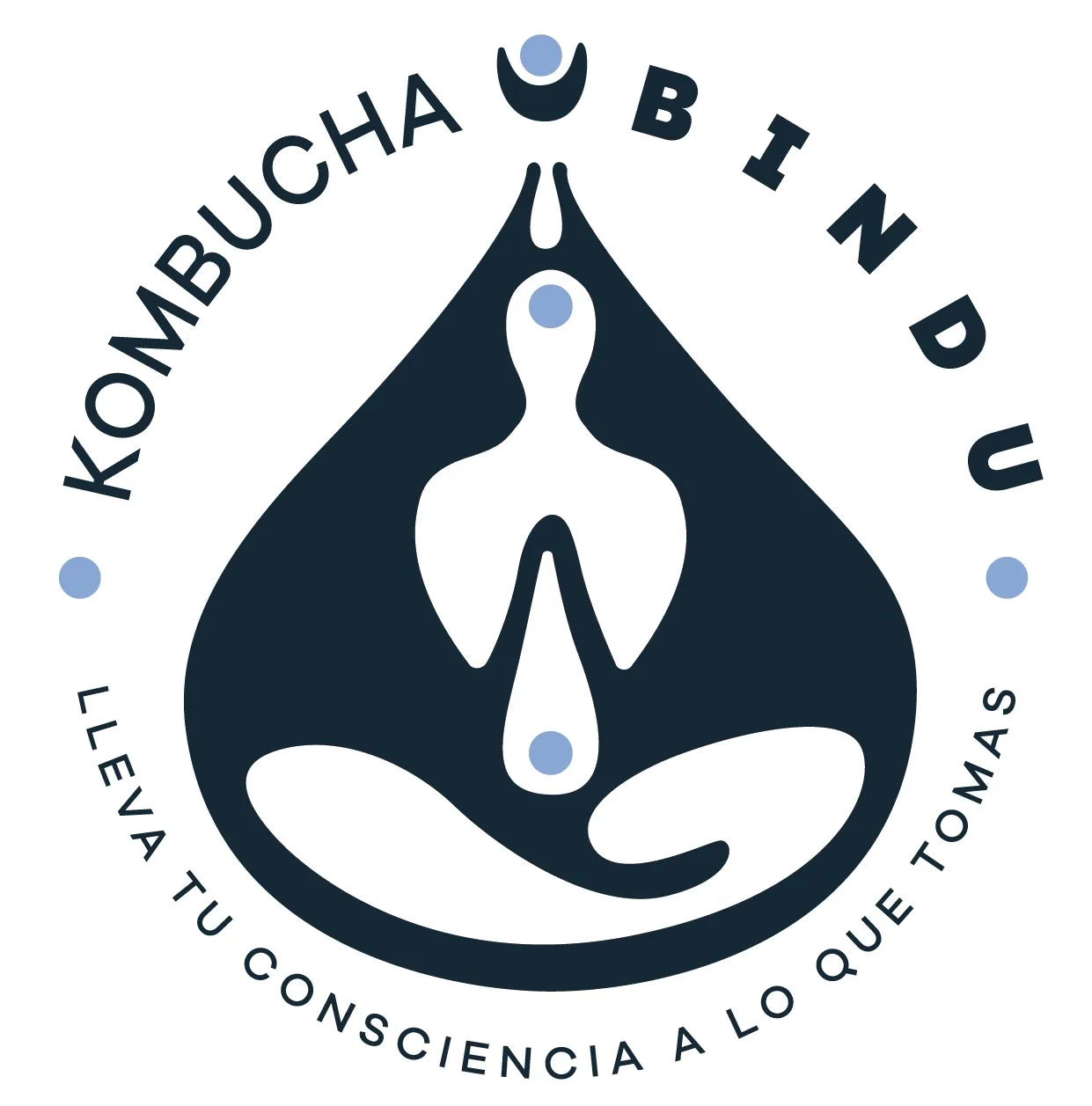 KOMBUCHA BINDU LLEVA TU CONSCIENCIA A LO QUE TOMAS