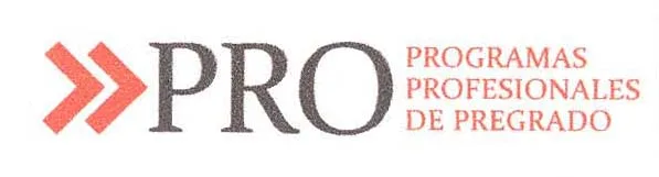 PRO PROGRAMAS PROFESIONALES DE PREGRADO