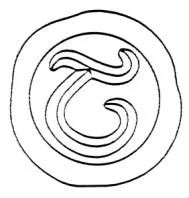 Acta 1089545