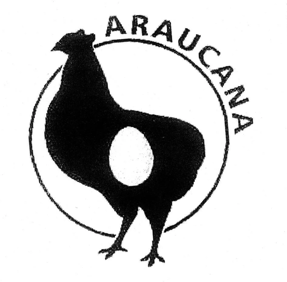 ARAUCANA