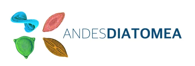 ANDESDIATOMEA