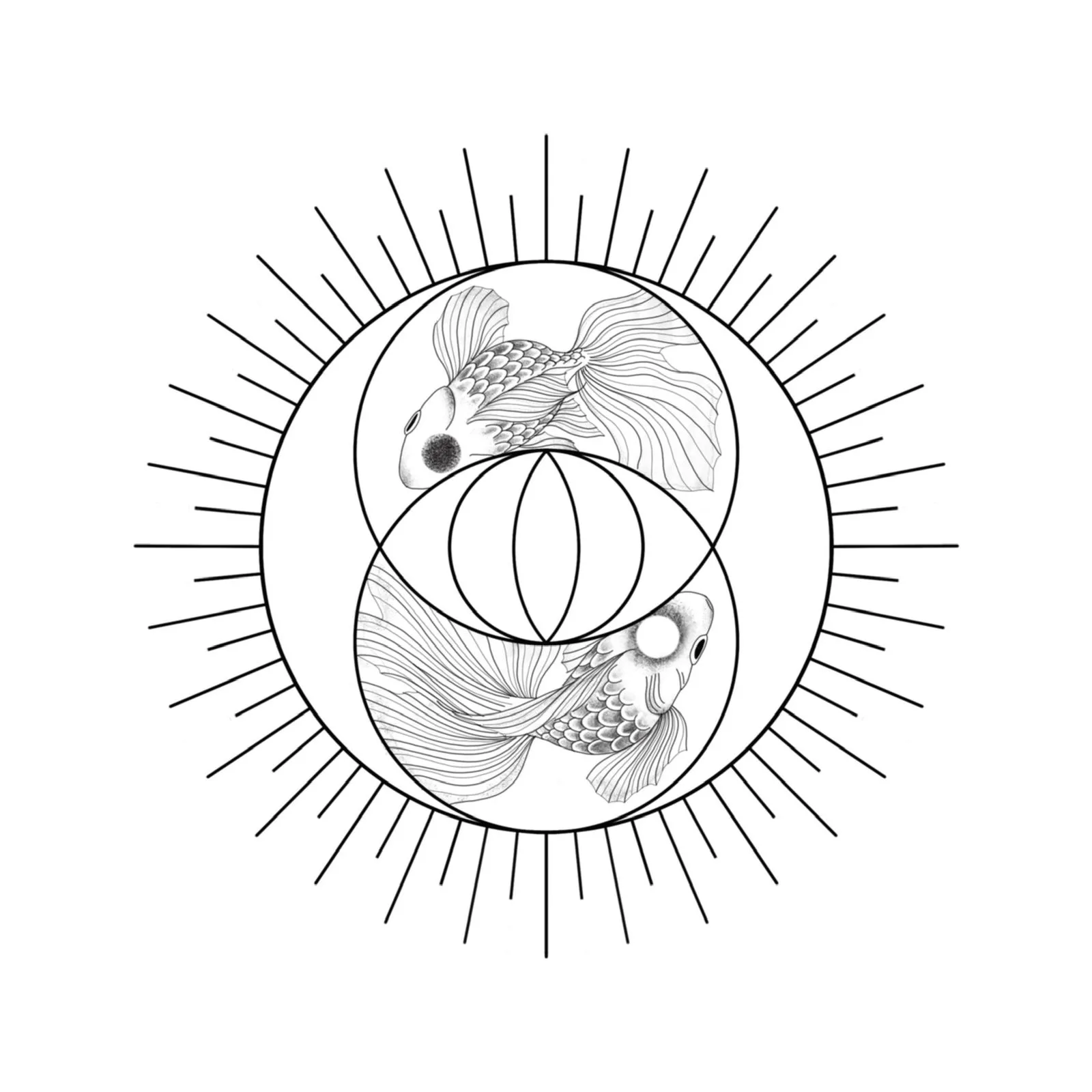 Acta 1533545