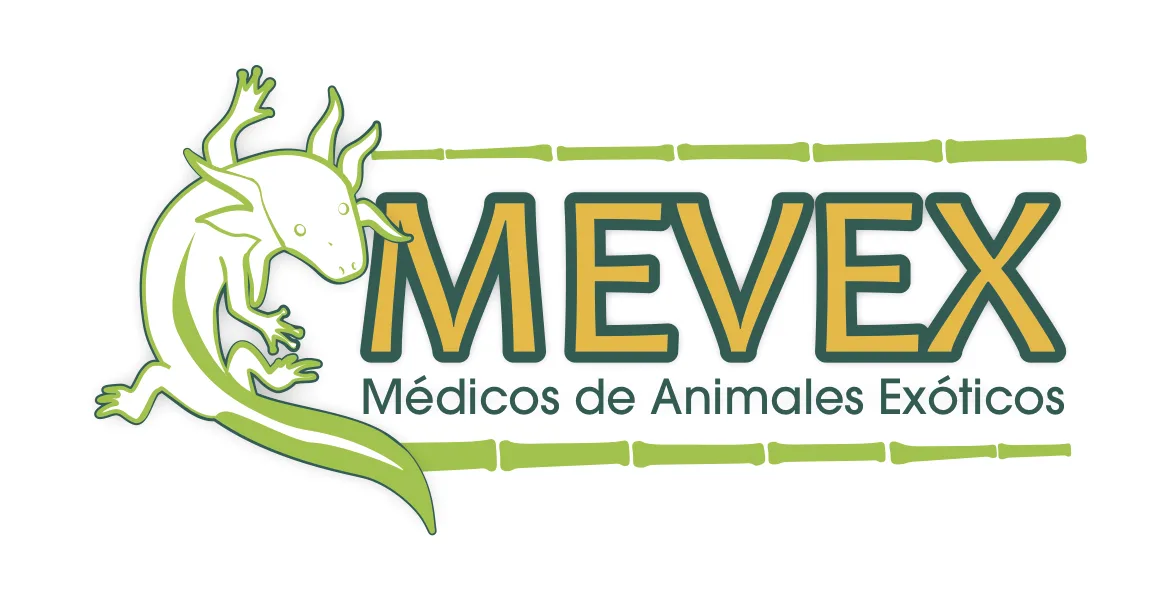 MEVEX MEDICOS DE ANIMALES EXOTICOS