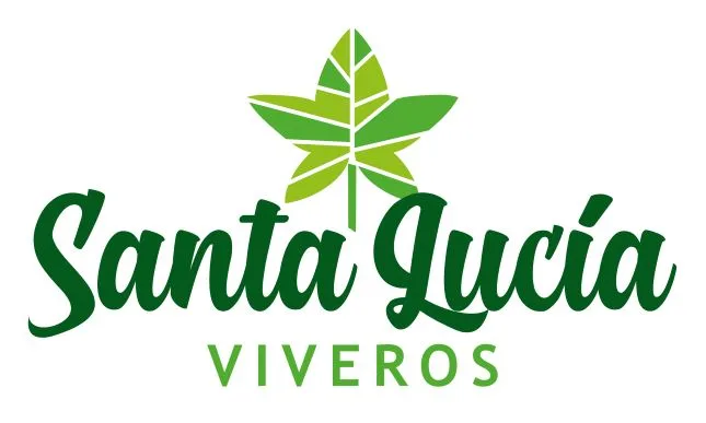 SANTA LUCIA