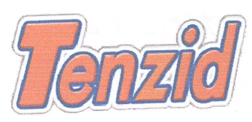 TENZID