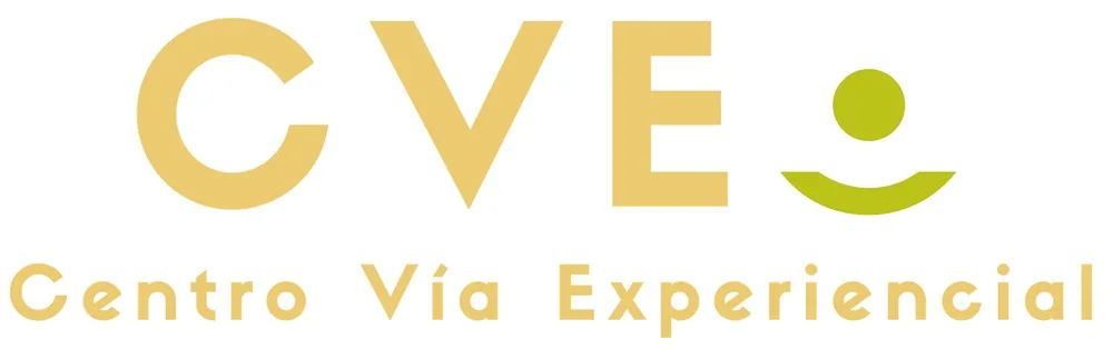 CVE